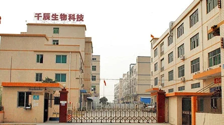 100pcs Long Head White Color Disposable Microbrush Applicator Mini Lash Brush Applicators Microblade Makeup Micro Brushes Tool - Glowing Love